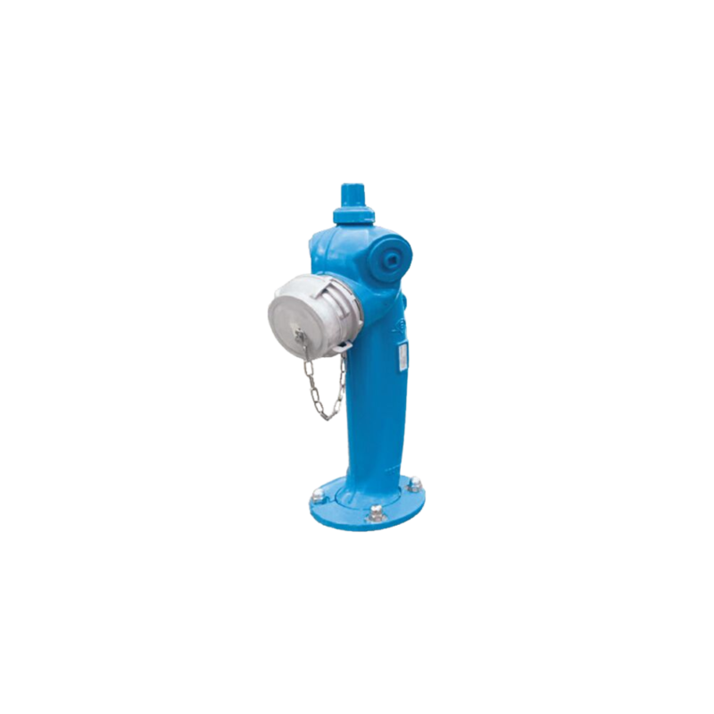 Poteau Incendie Bleu Bayard