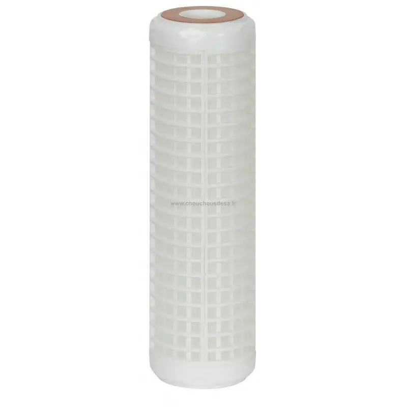 Filtre lavable 9" 3/4 50 microns www.chouchousdesa.fr