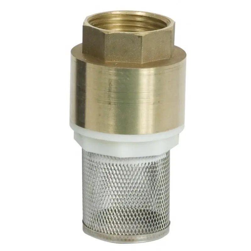 Clapet anti-retour 1 pouce en laiton avec filtre