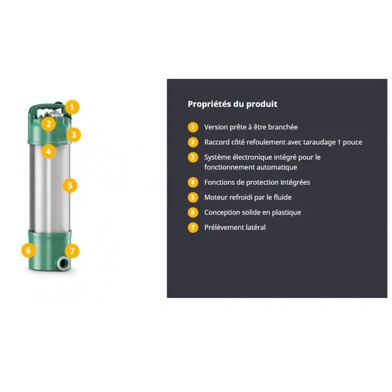 Propriete de la Pompe submersible Extract first 303/304