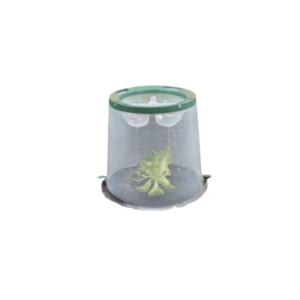 Lot de 3 cloches de culture Sunny Garantia pour plans et semis