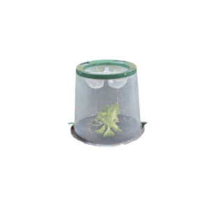 Lot de 3 cloches de culture Sunny Garantia pour plans et semis