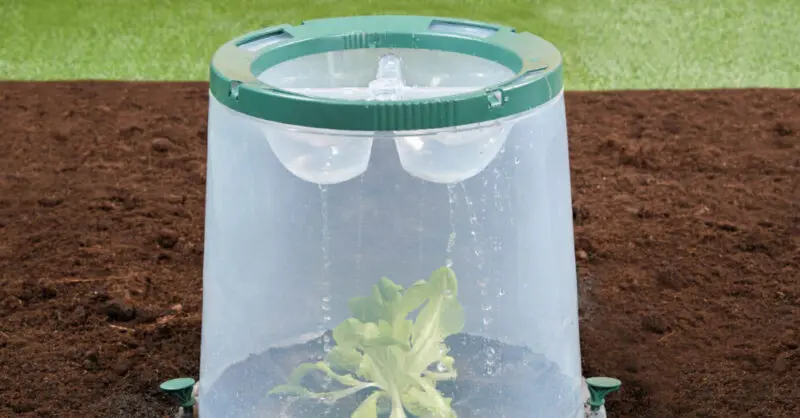 Lot de 3 cloches de culture Sunny Garantia pour plans et semis – Image 4