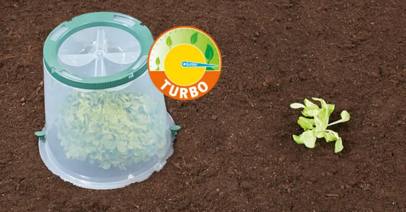Lot de 3 cloches de culture Sunny Garantia pour plans et semis – Image 7