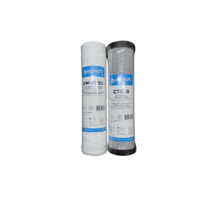 Kit 2 filtres 20 microns bobiné et charbon actif en 10 pouces Ecosoft