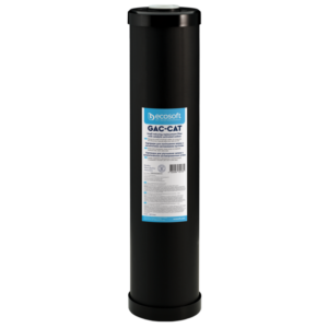 Filtre BIG charbon actif