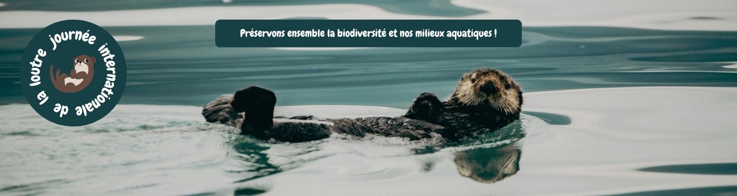JourLoutre