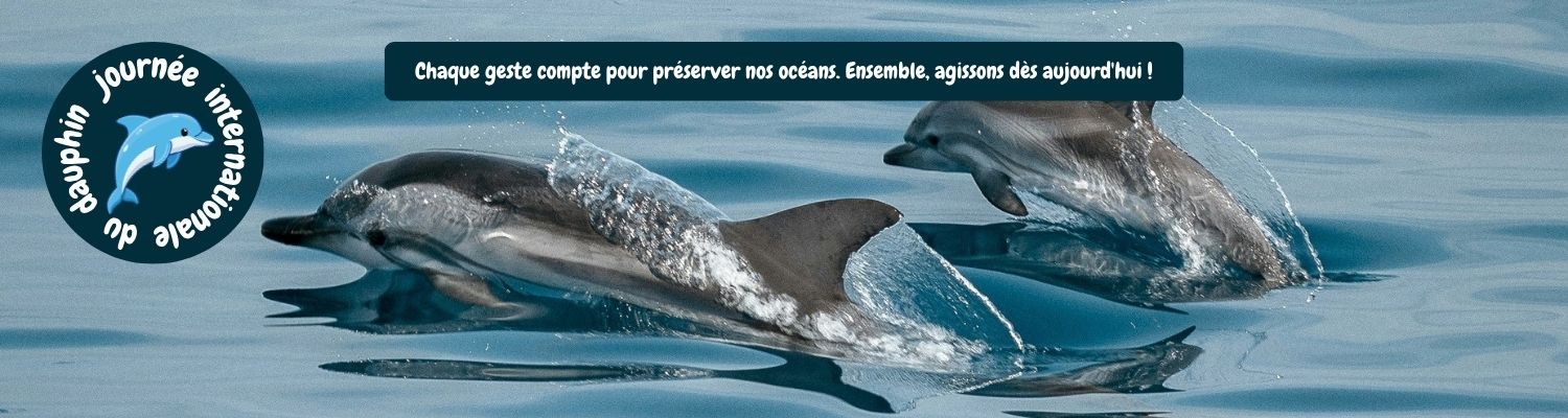 JourDauphin