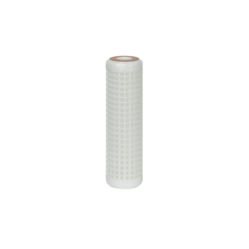 Filtre lavable 50 microns 9¾ pouces pour eau de forage