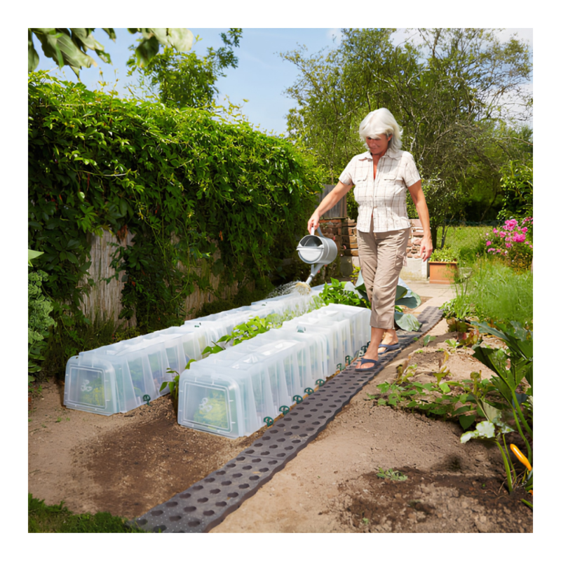 Installation de tunnels de culture Sunny Garantia dans un potager