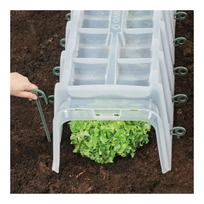 Tunnel de culture Sunny Garantia protégeant une plantation de salade