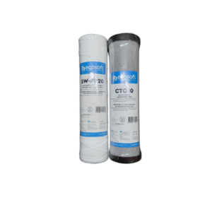 Kit 2 filtres 10 pouces Ecosoft : bobiné 20 microns et charbon actif en bloc